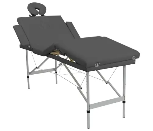 Masažinis Stalas, 4 Zonų, Antracito Sp., 186X68cm Alium. Rėm.