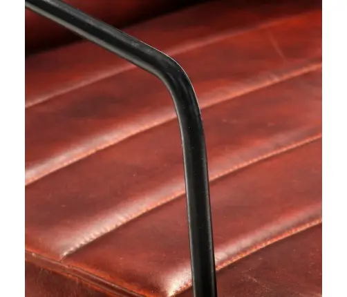 Atpūtas Krēsls, Tumši Brūna Dabīgā Āda Vidaxl Atpūtas Krēsls, Tumši Brūna Dabīgā Āda Vidaxl