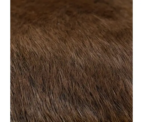 Soliņš, Kazāda Un Masīvs Tīkkoks Vidaxl