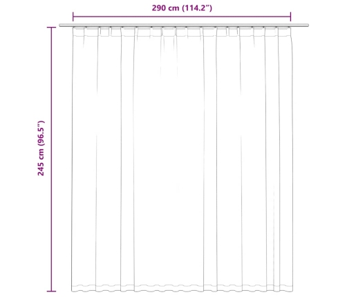 Gaismu Necaurlaidīgs Aizkars Ar Āķiem, 290X245 Cm, Melns Vidaxl