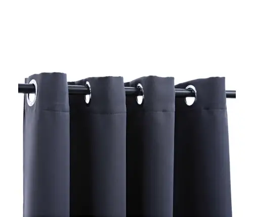 Naktinė Užuolaida Su Metaliniais Žiedais, Antracito, 290X245Cm