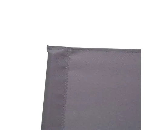 Režisieriaus Kėdės, 2 Vnt., Akacijos Medienos Masyvas