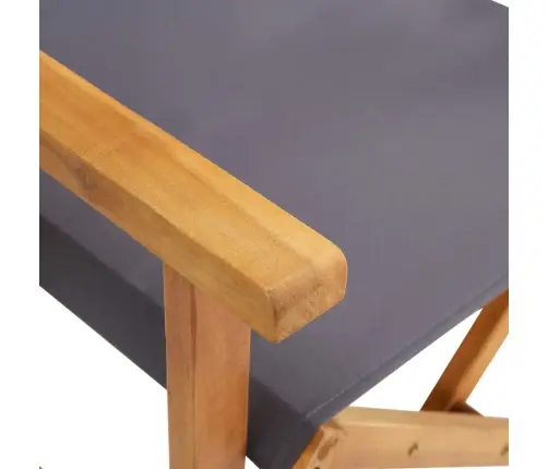 Režisieriaus Kėdės, 2 Vnt., Akacijos Medienos Masyvas