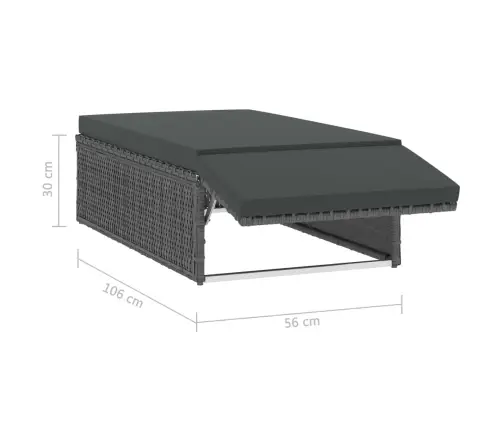 2-Daļīgs Dārza Atpūtas Mēbeļu Komplekts Ar Matračiem, Pelēks Pe Vidaxl