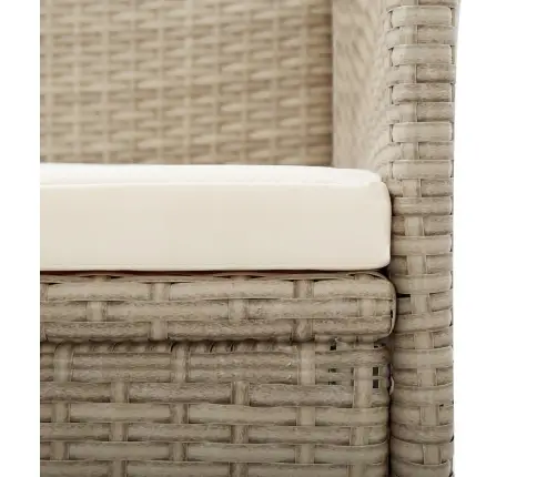 Atlošiamos Sodo Kėdės Su Pagalvėlėmis, 2Vnt., Smėlio, Ratanas