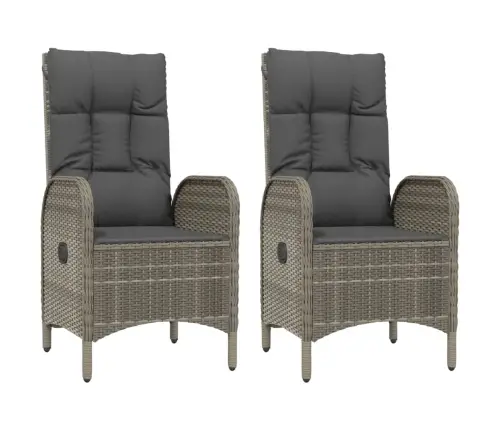 Dārza Krēsli, 2 Gab., Pelēka Pe Rotangpalma Vidaxl