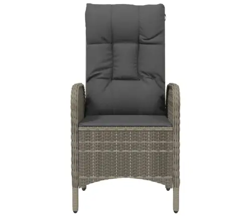 Dārza Krēsli, 2 Gab., Pelēka Pe Rotangpalma Vidaxl