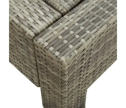 Sauļošanās Gulta Ar Matraci, Pelēka, Pe Pinums, Divvietīga Vidaxl