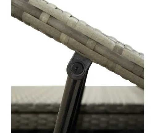 Sauļošanās Gulta Ar Matraci, Pelēka, Pe Pinums, Divvietīga Vidaxl