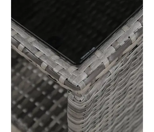 Bistro Komplektas Su Pagalvėlėmis, 3 Dalių, Pilkas, Poliratanas