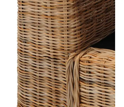 2-Kohaline Diivanikomplekt Patjadega, Naturaalsest Rotangist