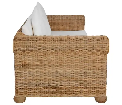 2-Kohaline Diivanikomplekt Patjadega, Naturaalsest Rotangist