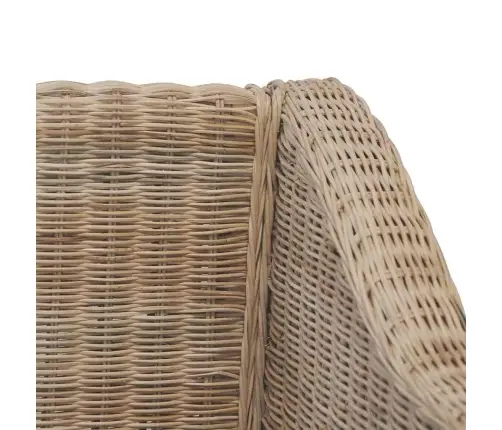 2-Osaline Diivanikomplekt Patjadega, Naturaalsest Rotangist