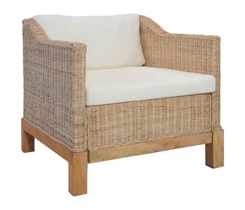 2-Osaline Diivanikomplekt Patjadega, Naturaalsest Rotangist