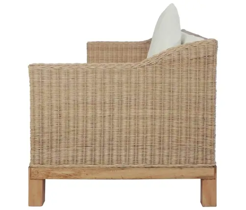 Divdaļīgs Dīvānu Komplekts Ar Matračiem, Dabīga Rotangpalma Vidaxl