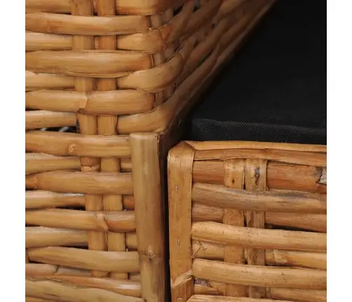 Divdaļīgs Dīvānu Komplekts Ar Matračiem, Dabīga Rotangpalma Vidaxl