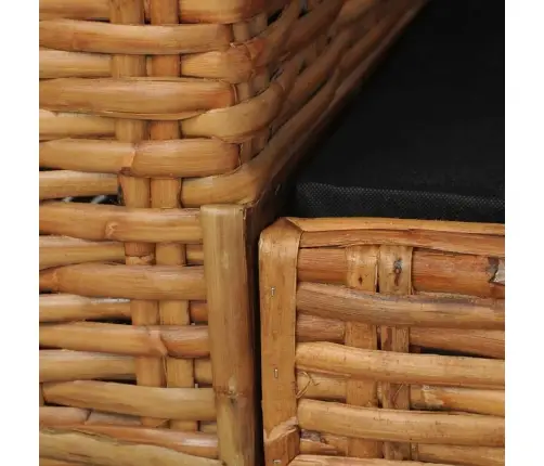 Divdaļīgs Dīvānu Komplekts Ar Matračiem, Dabīga Rotangpalma Vidaxl Divdaļīgs Dīvānu Komplekts Ar Matračiem, Dabīga Rotangpalma Vidaxl