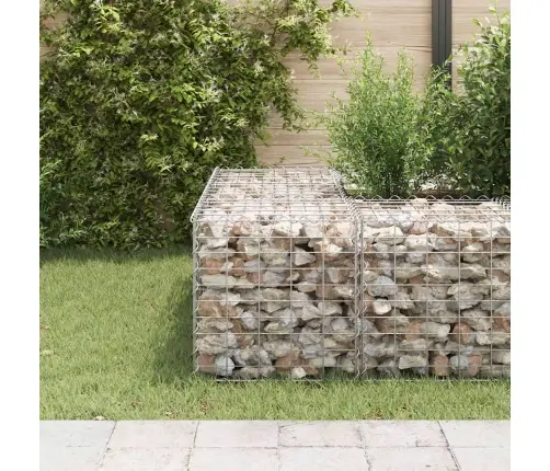Kuubikukujuline Gabioon-Taimelava, Teras 50 X 50 X 50 Cm