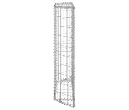 Gabions, Augstā Puķu Kaste, Cinkots Tērauds, 100X20X100 Cm Vidaxl