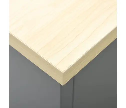 Darbagalds, Melns, 160X60X85 Cm, Tērauds Vidaxl