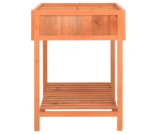 Lovelis Žolelėms, 80X60X80cm Eglės Medienos Masyvas