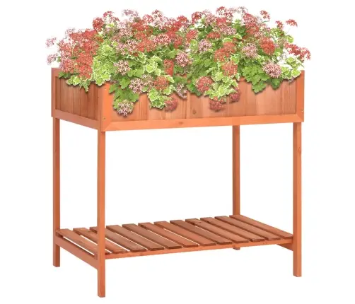 Lovelis Žolelėms, 80X60X80cm Eglės Medienos Masyvas