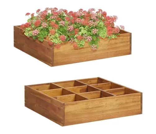 Garšaugu Kaste, Akācijas Masīvkoks, 60X60X15 Cm Vidaxl