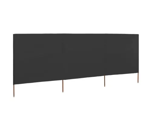 Tuulekaitse Sein 3 Paneelist, Kangas, 400 X 160 Cm Antratsiit