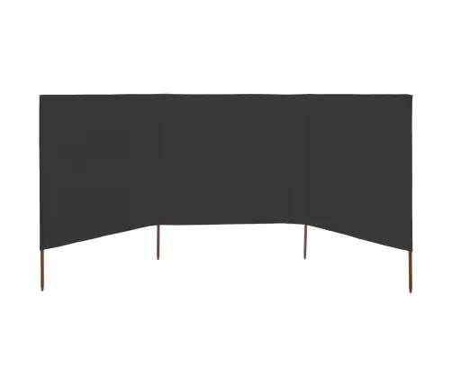 Tuulekaitse Sein 3 Paneelist, Kangas, 400 X 160 Cm Antratsiit