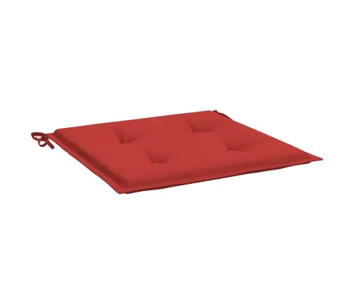 Sodo Kėdės Pagalvėlės, 2Vnt., Raudonos, 50X50X4cm Audinys