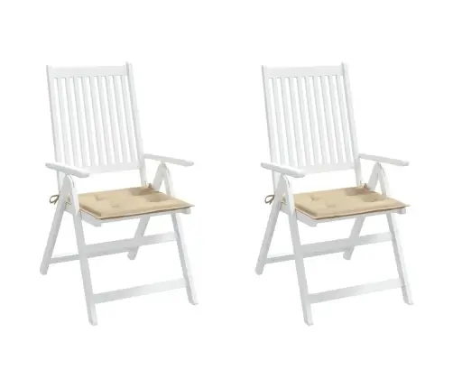 Aiatooli Istmepadjad 2 Tk, Beež, 50X50X4 cm Kangas