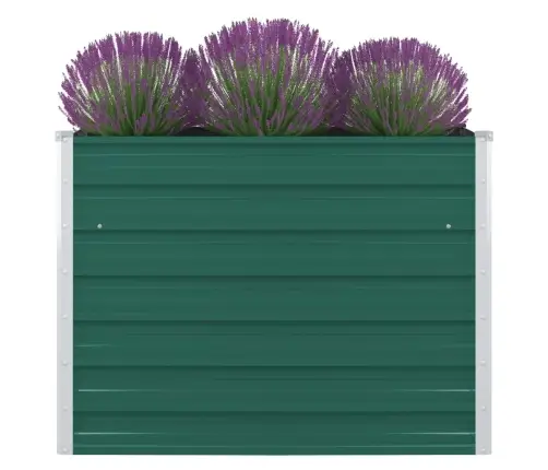 Kõrgendatud Peenrakast 100X100X77 cm Tsingitud Teras, Roheline