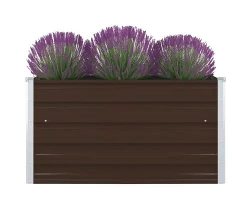 Kõrge Peenrakast 100 X 100 X 45 cm Tsingitud Teras, Pruun