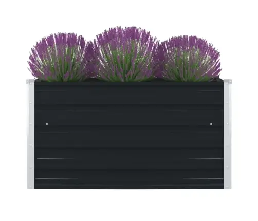 Aukštas Sodo Lovelis, Antracito Spalvos, 100X100X45cm Plienas