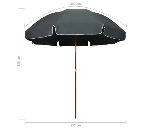 Dārza Saulessargs Ar Tērauda Kātu, 300 Cm, Antracītpelēks Vidaxl