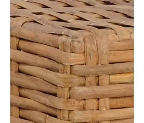 Jalapink Istmepadjaga, Naturaalne Rotang