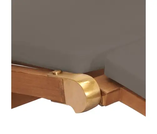 Pludmales Krēsls Ar Matraci, Masīvs Tīkkoks, Tumši Pelēks Vidaxl