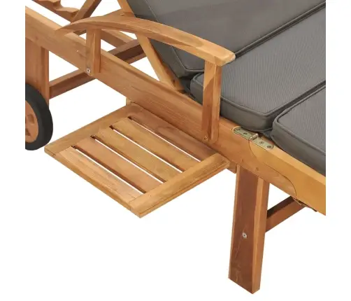 Päevitustool Istmepadjaga, Tiikpuu, Tumehall