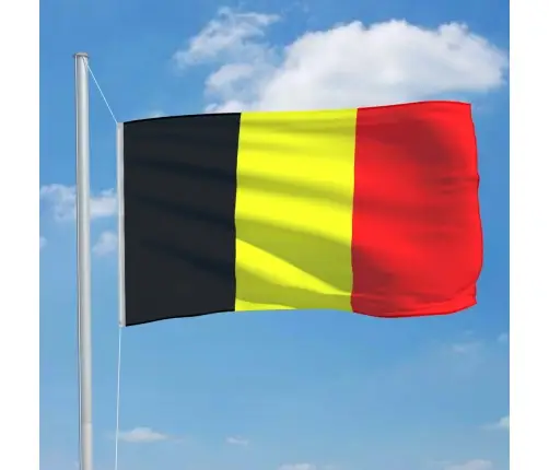 Beļģijas Karogs, 90X150 Cm Vidaxl