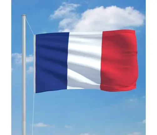 Francijas Karogs, 90X150 Cm Vidaxl