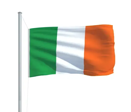 Īrijas Karogs, 90X150 Cm Vidaxl