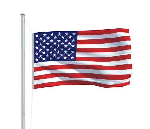 Amerikas Savienoto Valstu Karogs, 90X150 Cm Vidaxl