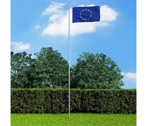 Eiropas Savienības Karogs, 90X150 Cm Vidaxl