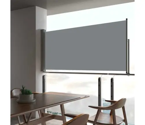 Ištraukiama Šoninė Kiemo Pertvara, Pilkos Spalvos, 60X300Cm