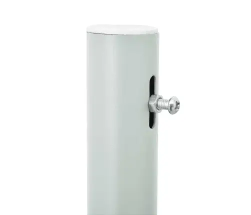 Izvelkama Sānu Markīze, Krēmkrāsa, 100X300 Cm Vidaxl