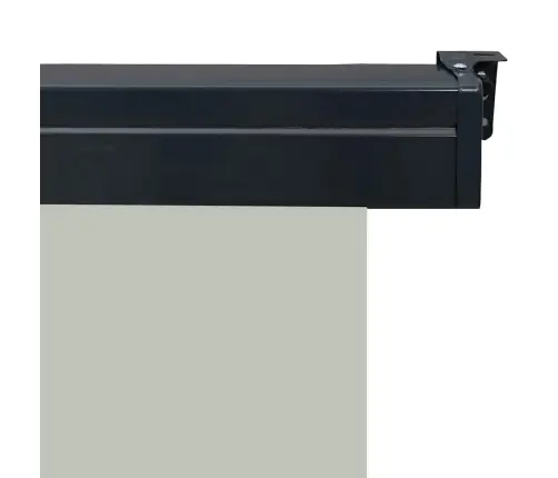 Balkona Sānu Markīze, Pelēka, 100X250 Cm Vidaxl