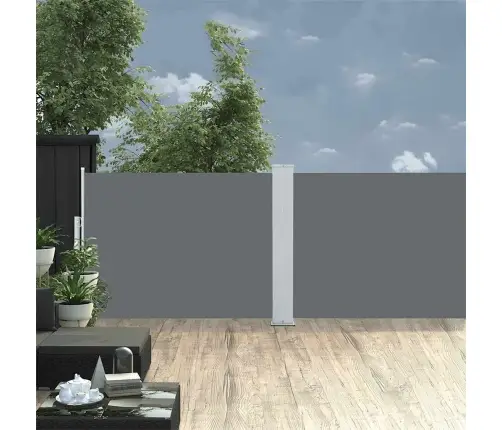 Izvelkams Sānu Aizslietnis, Antracītpelēks, 100X1000 Cm Vidaxl