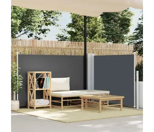 Lahtitõmmatav Külgsein, Antratsiithall, 120 X 1000 Cm