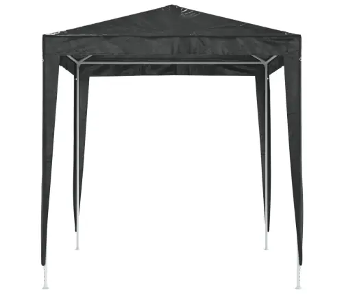 Dārza Nojume, Profesionāla, 2X2 M, Antracītpelēka Vidaxl