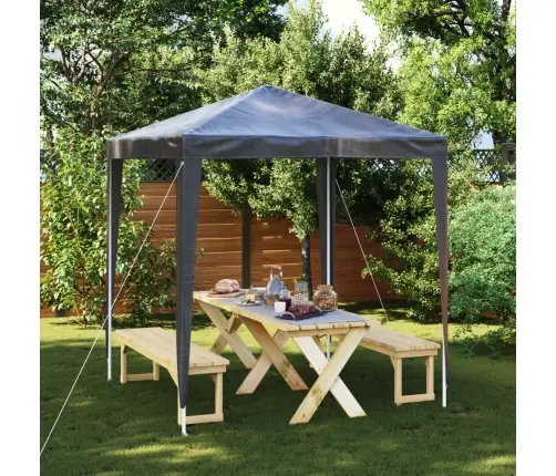 Dārza Nojume, Profesionāla, 2X2 M, Antracītpelēka Vidaxl